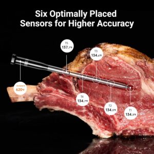 4-Probe Wireless Bluetooth Smart Meat Thermometer